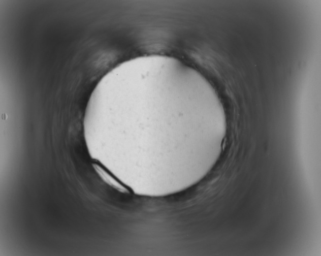 X0000085291349200703301929