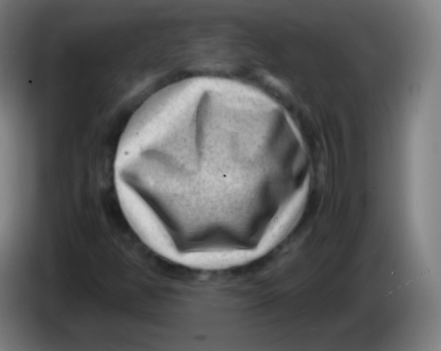 X0000085291350200703301929