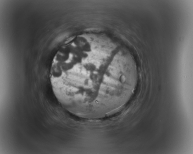 X0000085291351200703301929