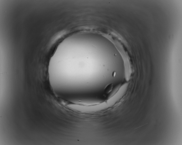 X0000085291352200703301929
