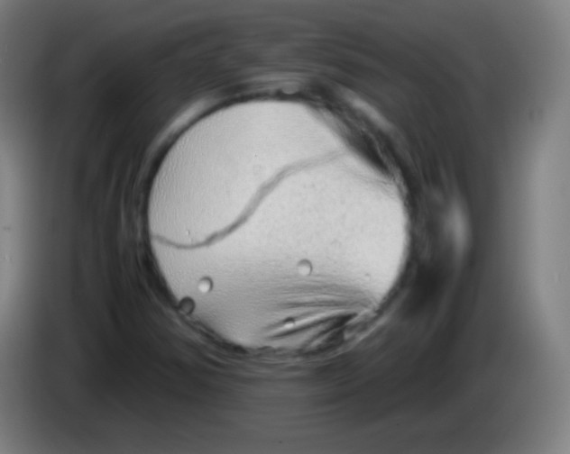 X0000085291354200703301929