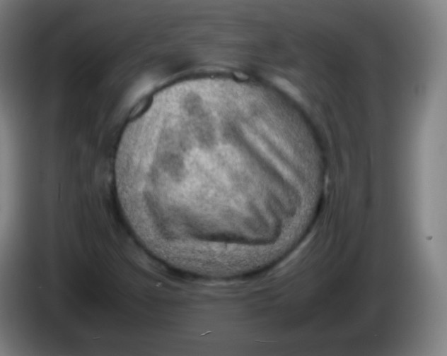 X0000085291355200703301929