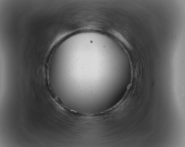 X0000085291356200703301929
