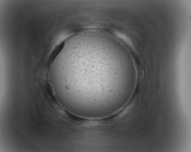 X0000085291357200703301929