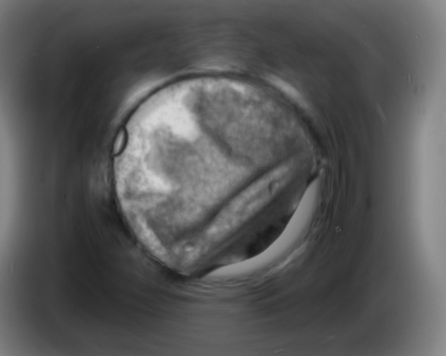 X0000085291358200703301929