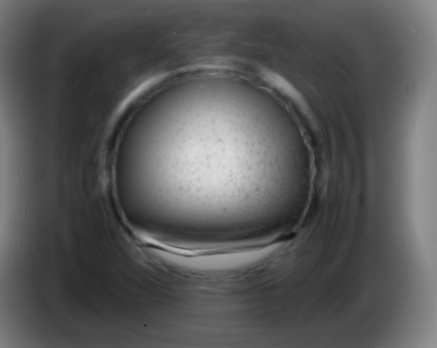 X0000085291360200703301929