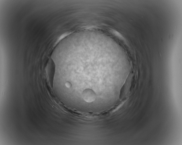 X0000085291361200703301929