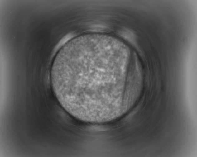 X0000085291362200703301929