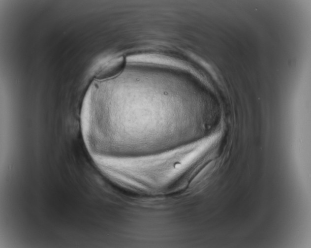 X0000085291363200703301929