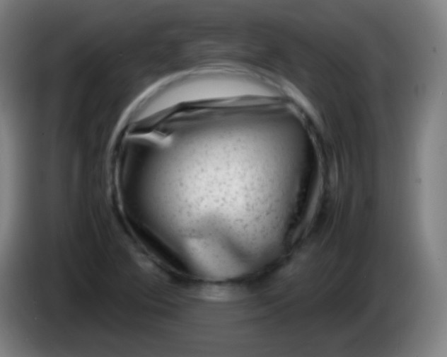 X0000085291364200703301929