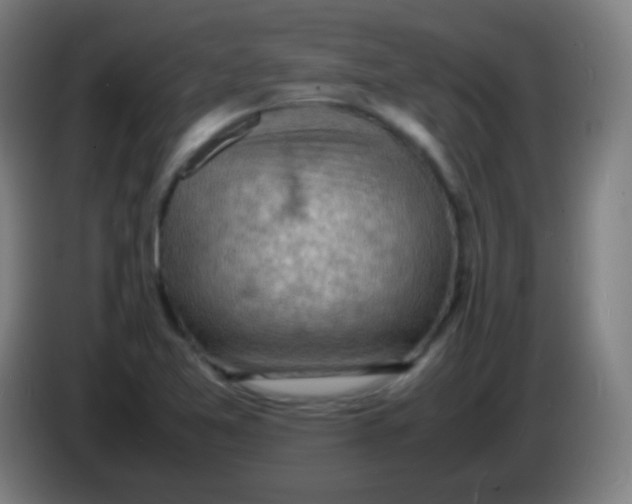 X0000085291365200703301929