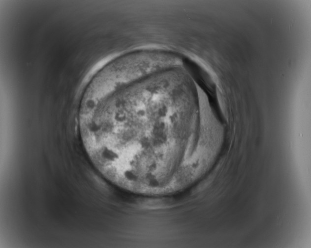 X0000085291367200703301929