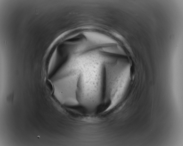X0000085291368200703301928