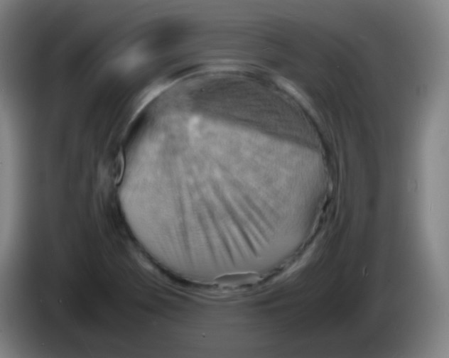 X0000085291369200703301928