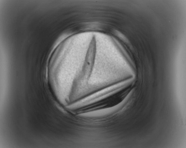 X0000085291370200703301928