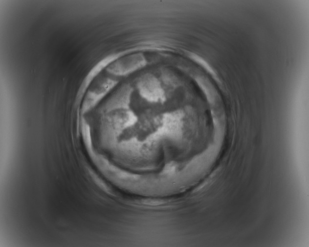 X0000085291371200703301928