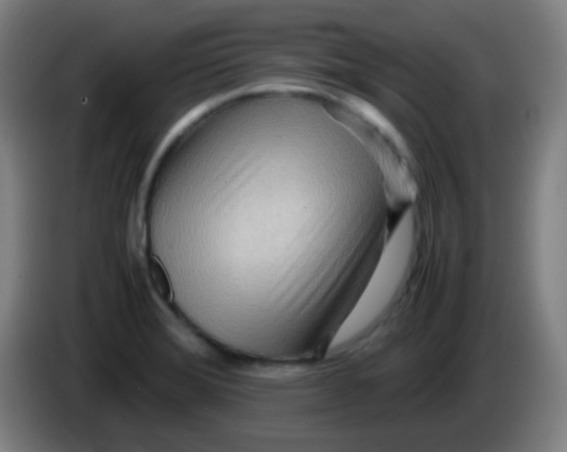 X0000085291372200703301928