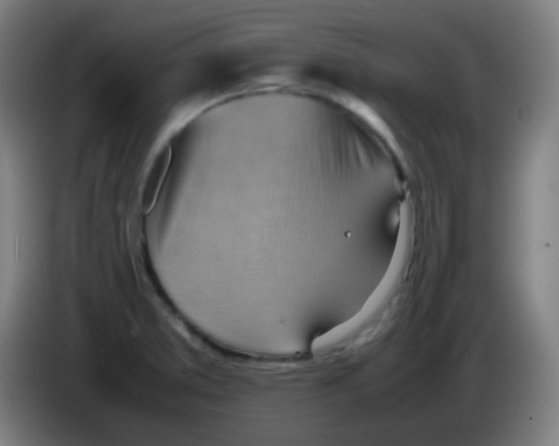 X0000085291373200703301928