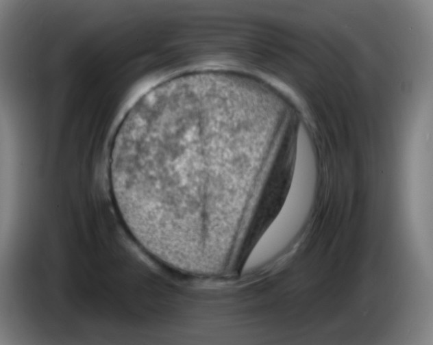 X0000085291374200703301928