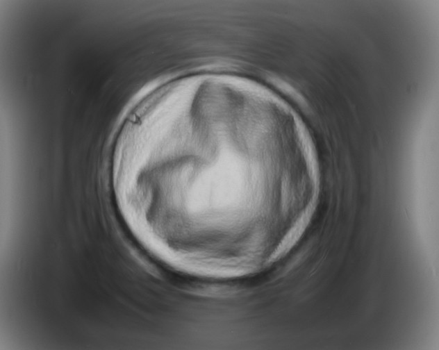 X0000085291375200703301928