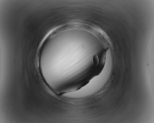 X0000085291376200703301928