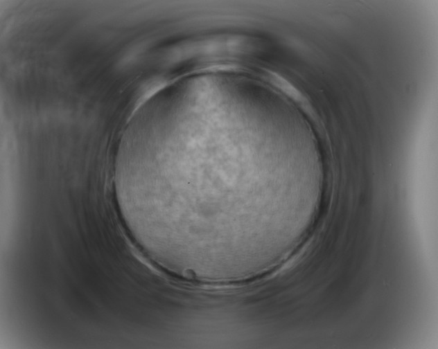 X0000085291377200703301928