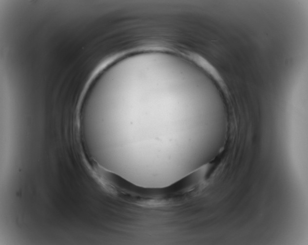 X0000085291380200703301928
