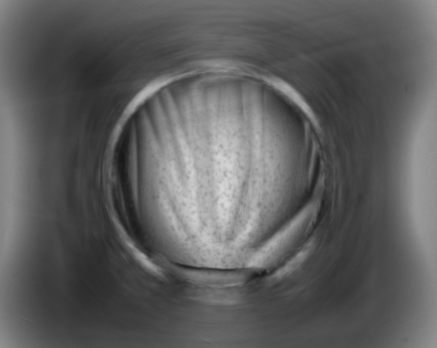X0000085291381200703301928