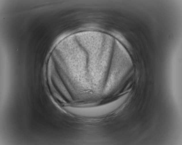 X0000085291382200703301928