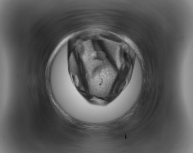 X0000085291384200703301928
