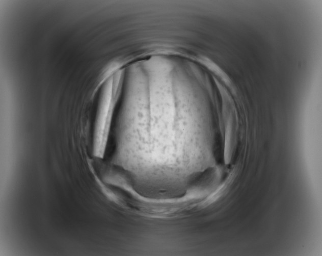 X0000085291385200703301928