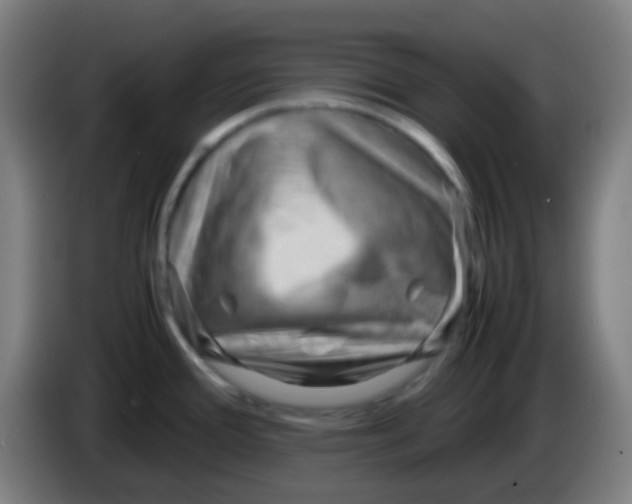 X0000085291388200703301928
