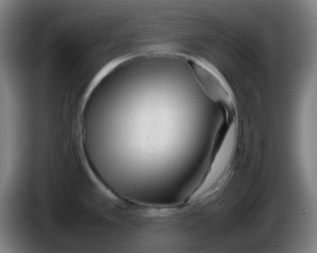 X0000085291389200703301928