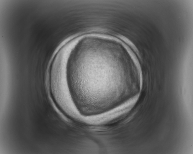 X0000085291391200703301928