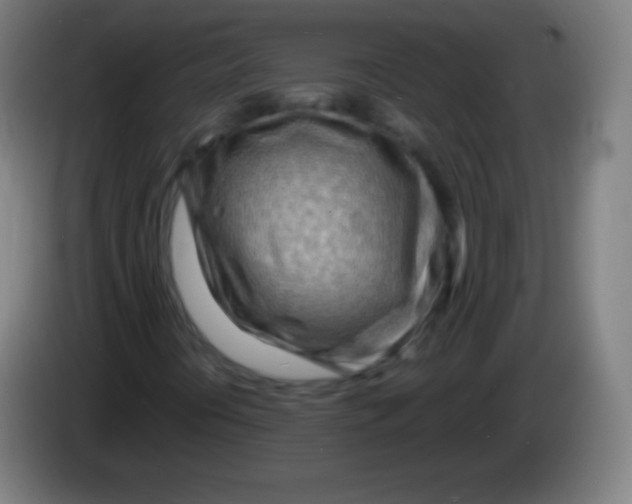 X0000085291394200703301927