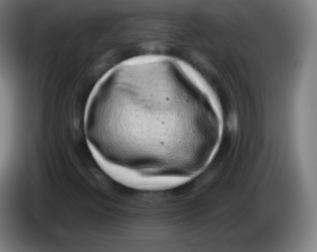 X0000085291396200703301927
