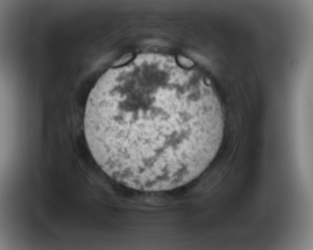 X0000085291399200703301927