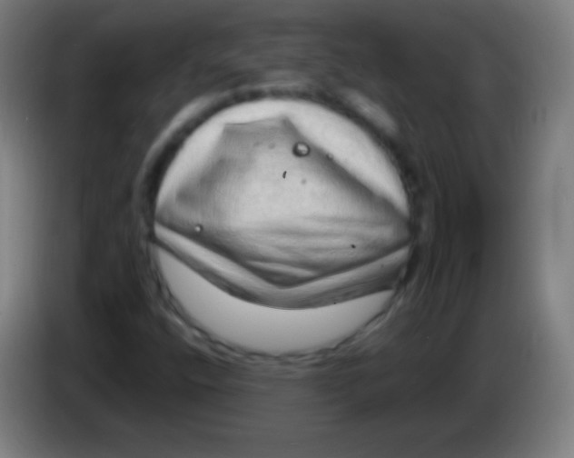 X0000085291400200703301927