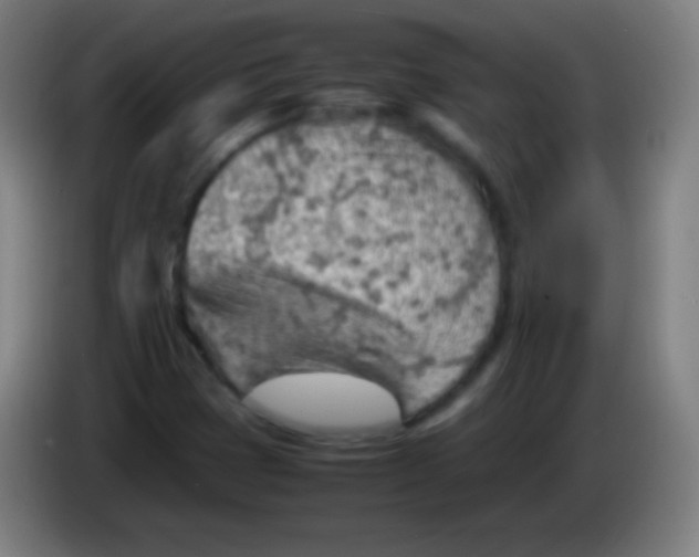 X0000085291401200703301927