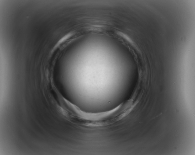 X0000085291402200703301927