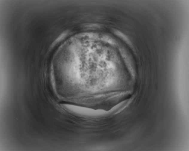 X0000085291403200703301927