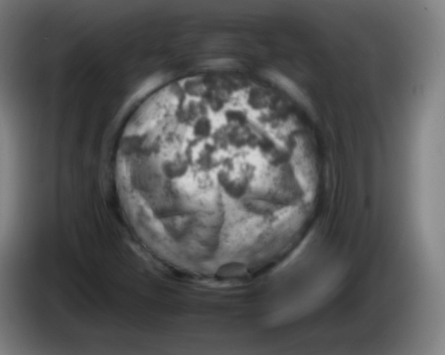 X0000085291405200703301927