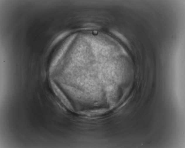 X0000085291407200703301928