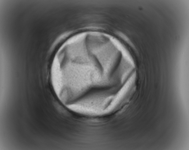 X0000085291408200703301928