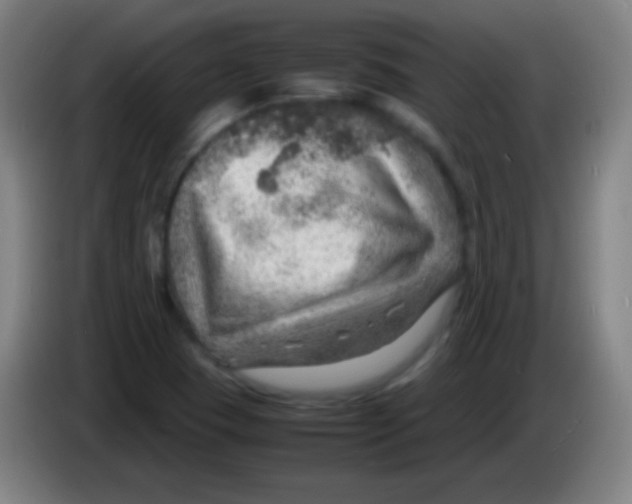 X0000085291409200703301928