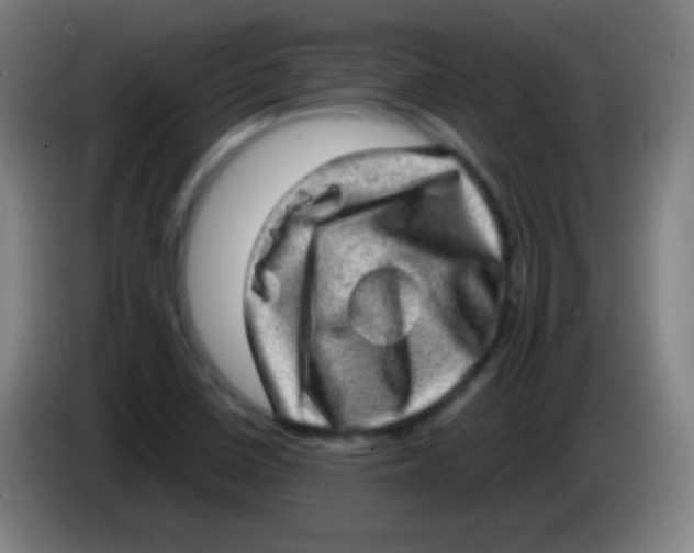 X0000085291410200703301928