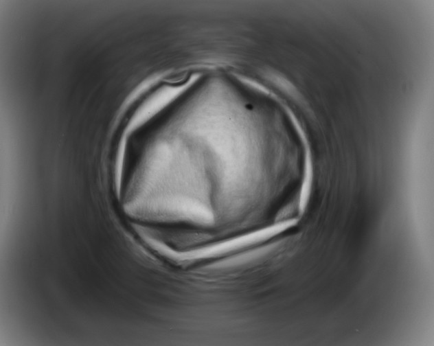 X0000085291412200703301928