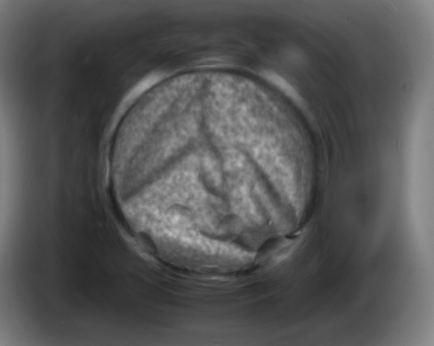X0000085291413200703301928