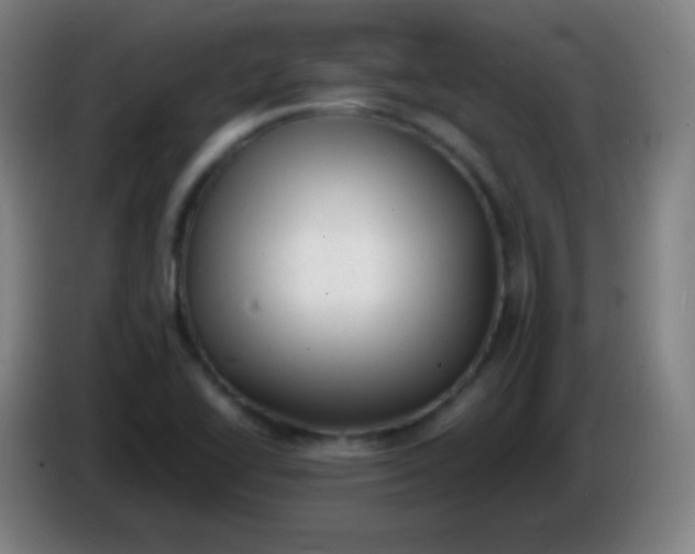 X0000085291414200703301928