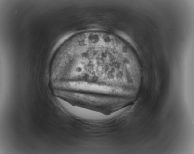 X0000085291415200703301928